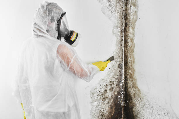 Miami, FL Mold Remediation Company